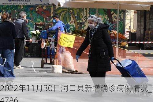 2022年11月30日洞口县新增确诊病例情况_54786
