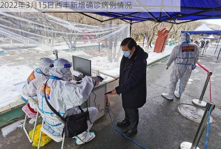2022年3月15日西丰新增确诊病例情况