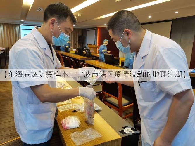 【东海港城防疫样本：宁波市辖区疫情波动的地理注脚】