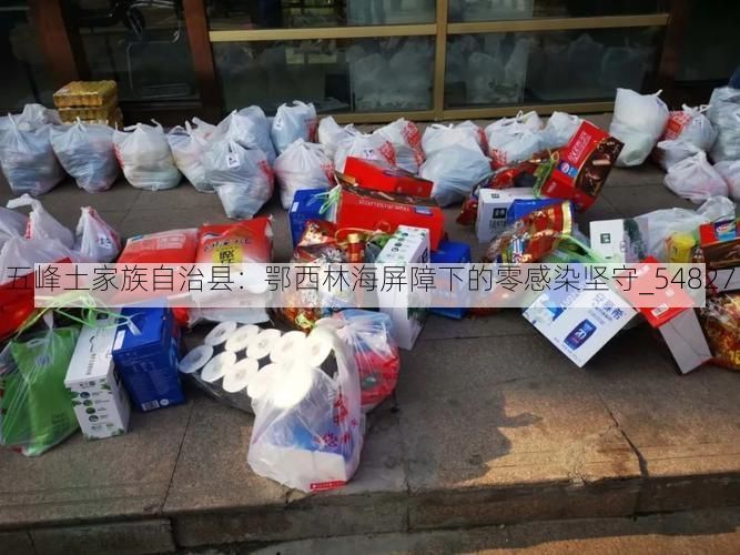 五峰土家族自治县：鄂西林海屏障下的零感染坚守_54827