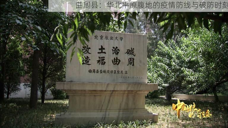 曲周县：华北平原腹地的疫情防线与破防时刻