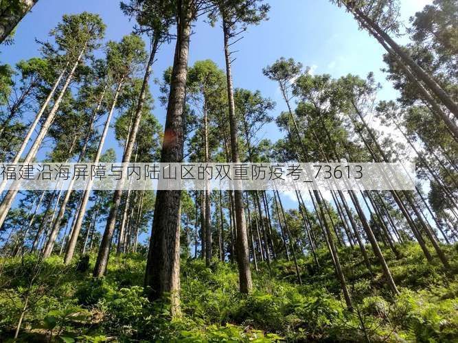 福建沿海屏障与内陆山区的双重防疫考_73613