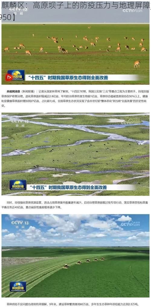 【麒麟区:高原坝子上的防疫压力与地理屏障_62950】