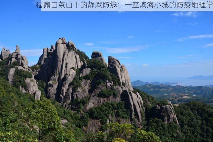 福鼎白茶山下的静默防线：一座滨海小城的防疫地理学
