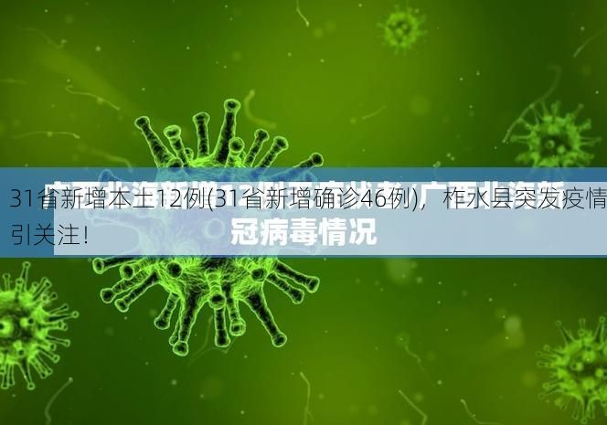31省新增本土12例(31省新增确诊46例)，柞水县突发疫情引关注！