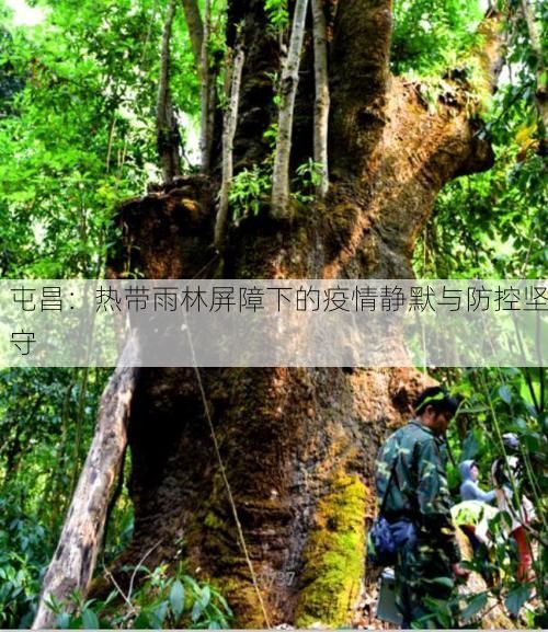 屯昌：热带雨林屏障下的疫情静默与防控坚守