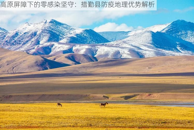 高原屏障下的零感染坚守:措勤县防疫地理优势解析