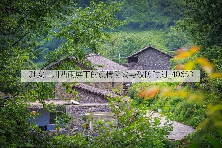 雅安：川西雨屏下的疫情防线与破防时刻_40653