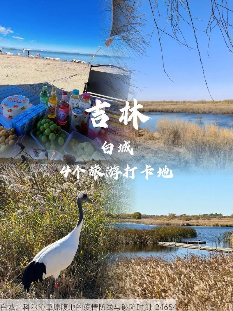 白城：科尔沁草原腹地的疫情防线与破防时刻_24654