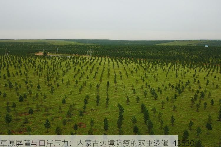 草原屏障与口岸压力：内蒙古边境防疫的双重逻辑_43530