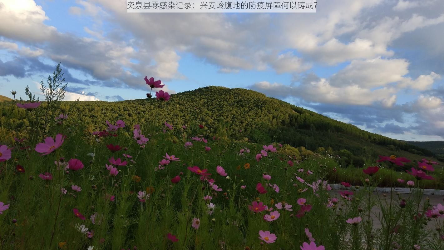 突泉县零感染记录:兴安岭腹地的防疫屏障何以铸成?