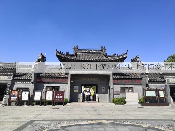 如皋：长江下游冲积平原上的防疫样本