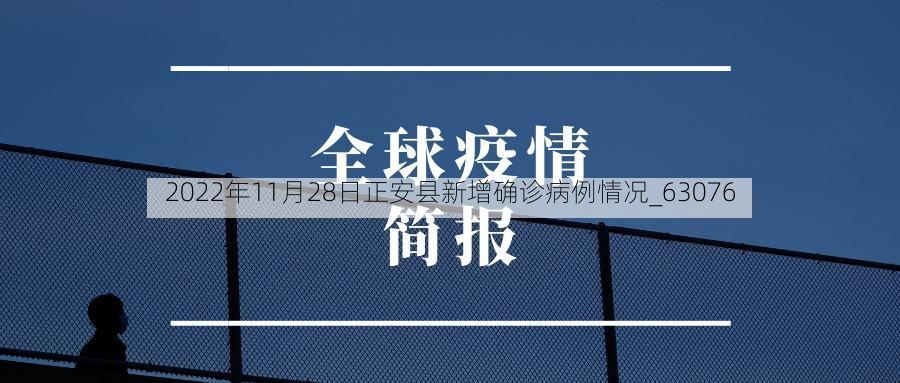 2022年11月28日正安县新增确诊病例情况_63076