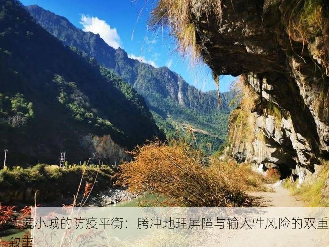 边境小城的防疫平衡：腾冲地理屏障与输入性风险的双重叙事