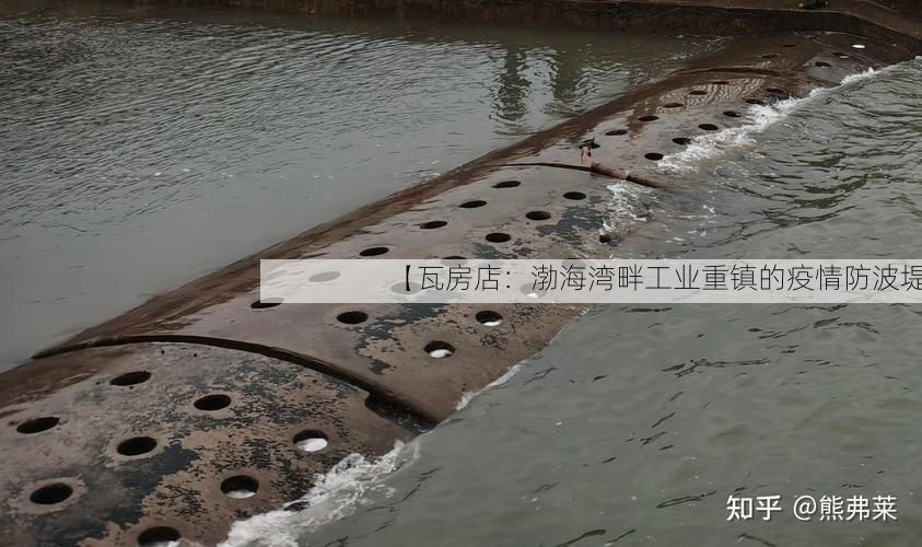 【瓦房店：渤海湾畔工业重镇的疫情防波堤】