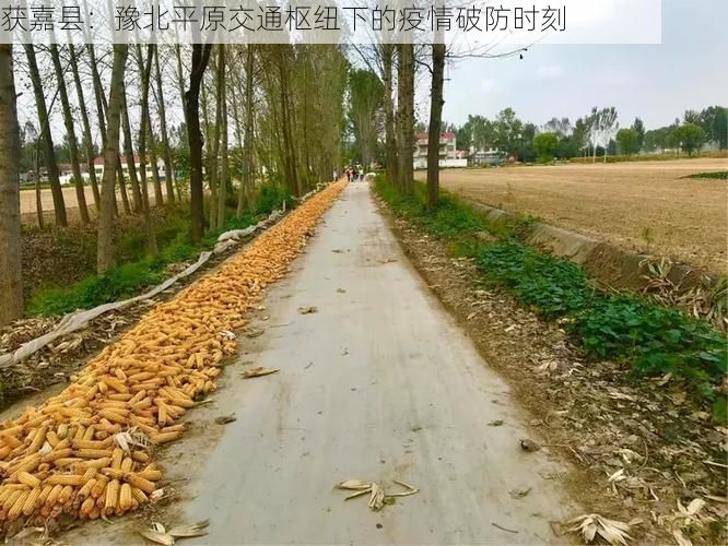 获嘉县：豫北平原交通枢纽下的疫情破防时刻