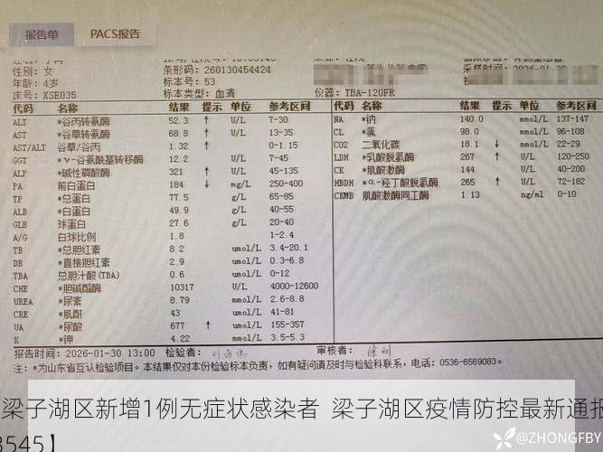 【梁子湖区新增1例无症状感染者  梁子湖区疫情防控最新通报_43545】