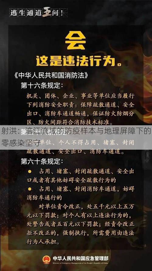 射洪:涪江流域的防疫样本与地理屏障下的零感染坚守