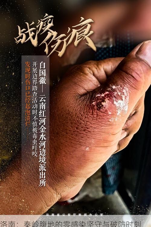 洛南：秦岭腹地的零感染坚守与破防时刻