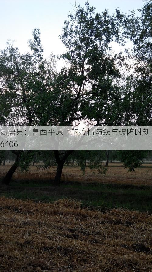 高唐县：鲁西平原上的疫情防线与破防时刻_56406