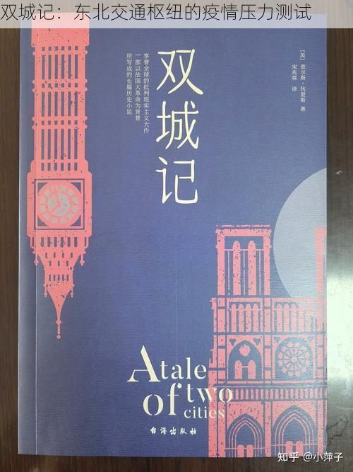 双城记：东北交通枢纽的疫情压力测试
