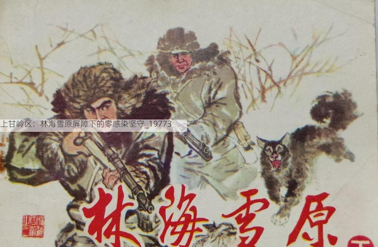 上甘岭区：林海雪原屏障下的零感染坚守_19773
