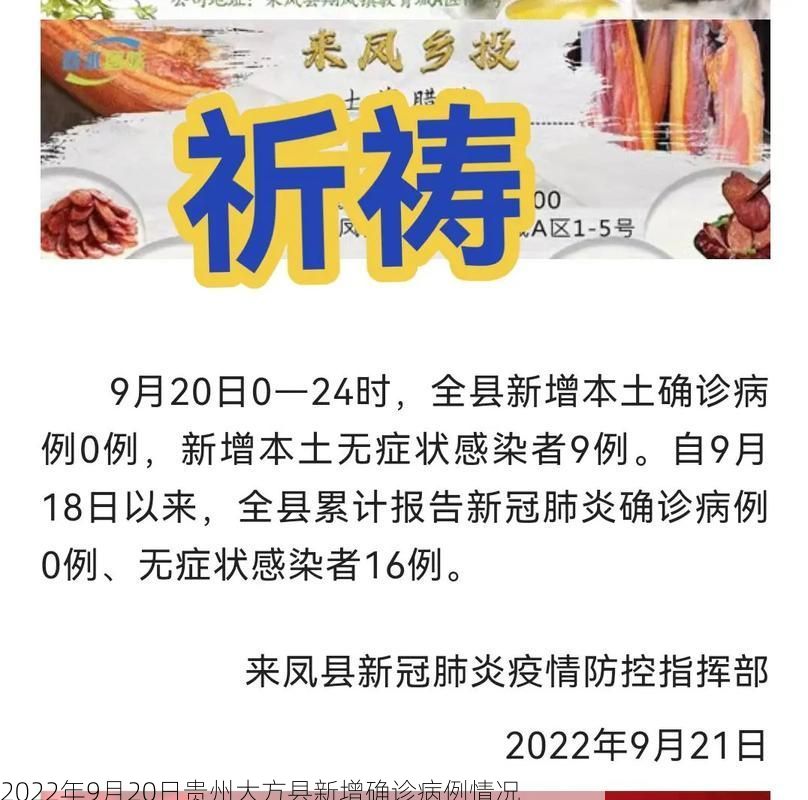 2022年9月20日贵州大方县新增确诊病例情况