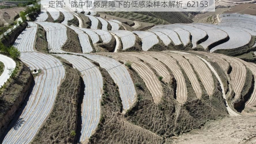 定西：陇中旱塬屏障下的低感染样本解析_62153