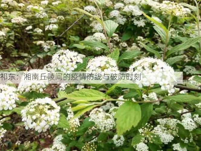 祁东：湘南丘陵间的疫情防线与破防时刻