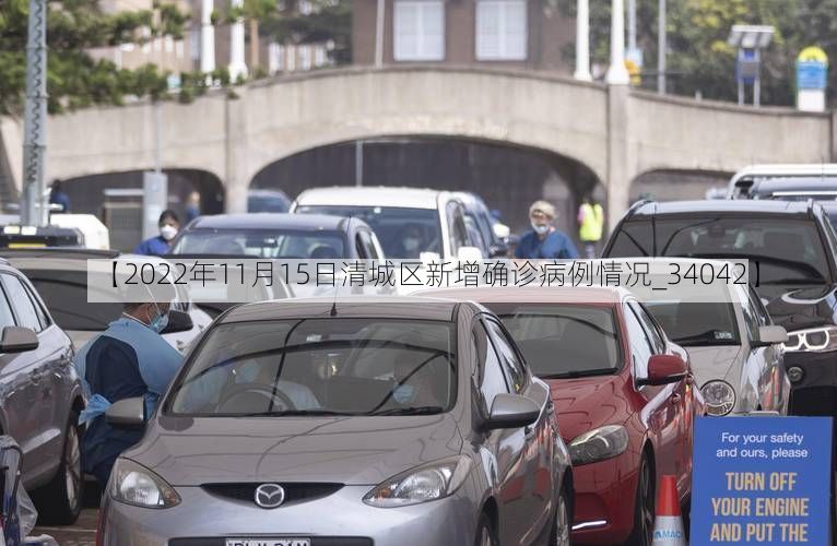 【2022年11月15日清城区新增确诊病例情况_34042】
