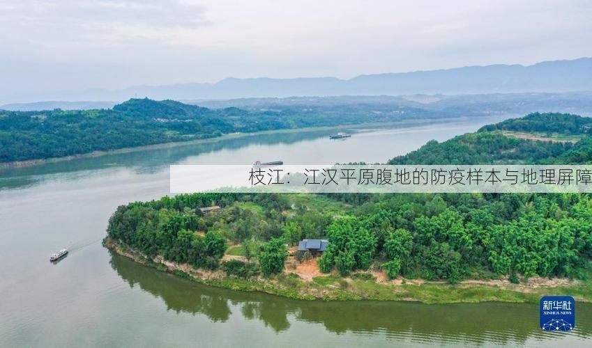 枝江：江汉平原腹地的防疫样本与地理屏障