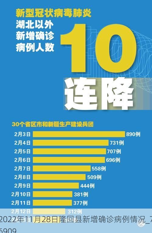 2022年11月28日隆回县新增确诊病例情况_76909