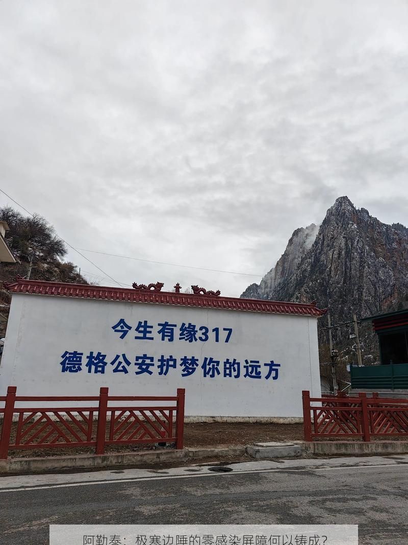 阿勒泰：极寒边陲的零感染屏障何以铸成？