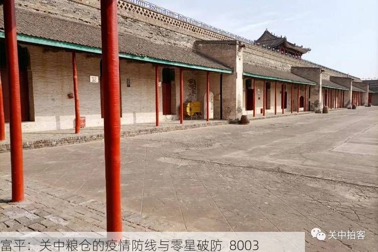富平：关中粮仓的疫情防线与零星破防_8003