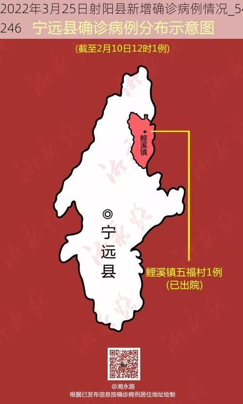 2022年3月25日射阳县新增确诊病例情况_54246