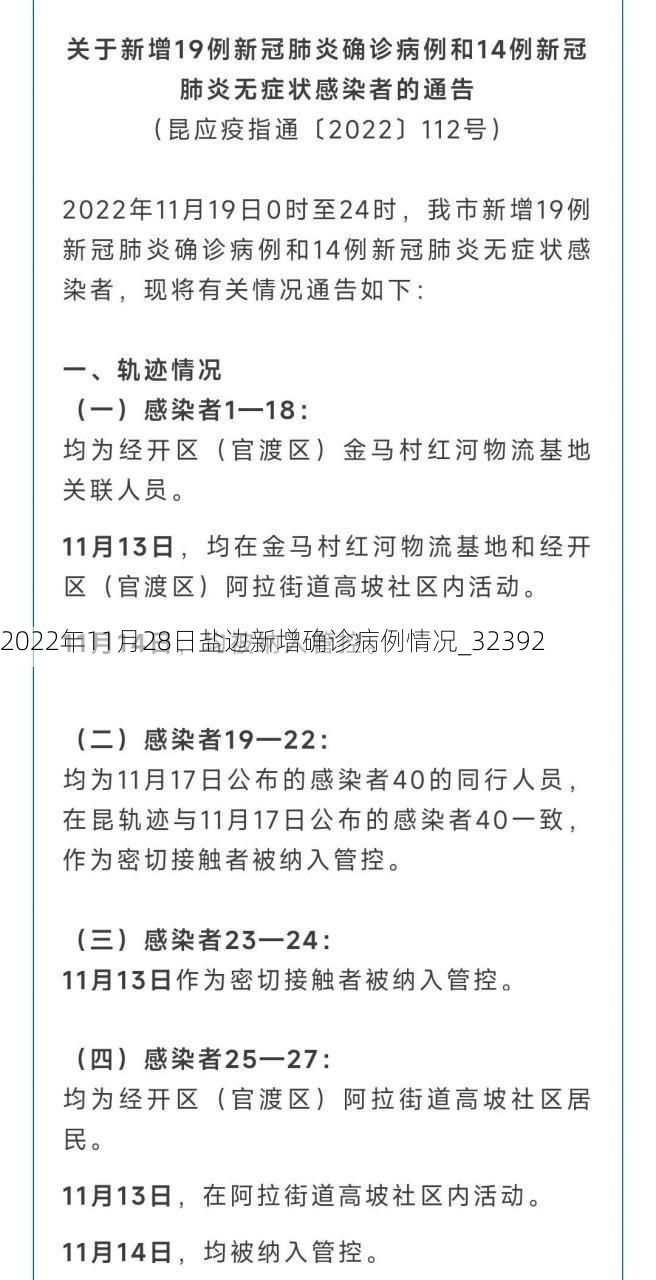 2022年11月28日盐边新增确诊病例情况_32392