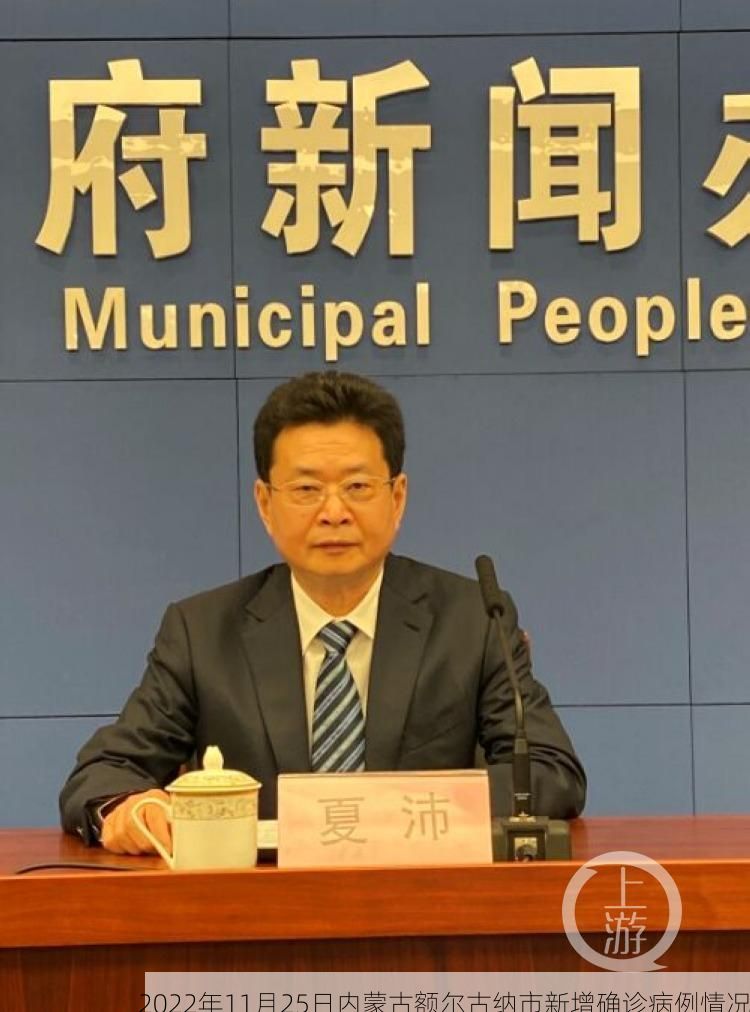 2022年11月25日内蒙古额尔古纳市新增确诊病例情况