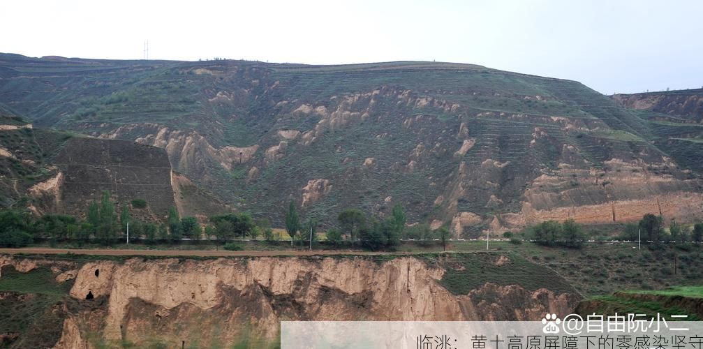 临洮：黄土高原屏障下的零感染坚守