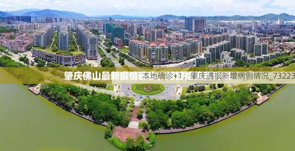 本地确诊+1，肇庆通报新增病例情况_73223