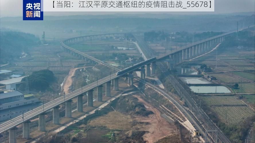 【当阳：江汉平原交通枢纽的疫情阻击战_55678】