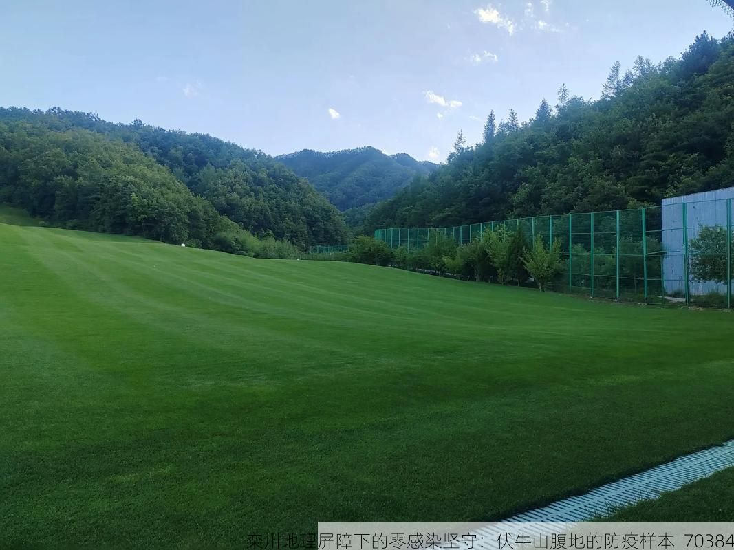 栾川地理屏障下的零感染坚守：伏牛山腹地的防疫样本_70384