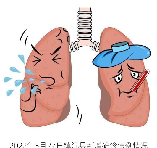 2022年3月27日镇沅县新增确诊病例情况