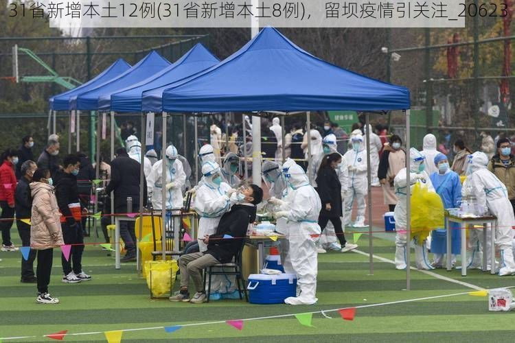 31省新增本土12例(31省新增本土8例)，留坝疫情引关注_20623