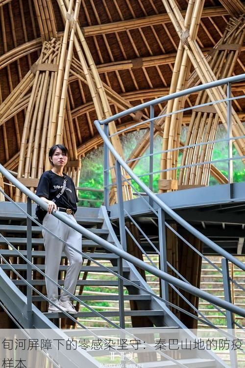 旬河屏障下的零感染坚守：秦巴山地的防疫样本