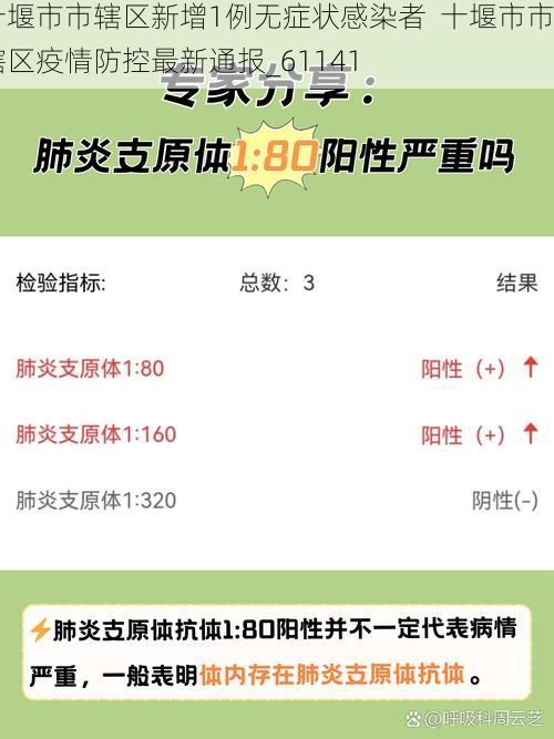 十堰市市辖区新增1例无症状感染者  十堰市市辖区疫情防控最新通报_61141