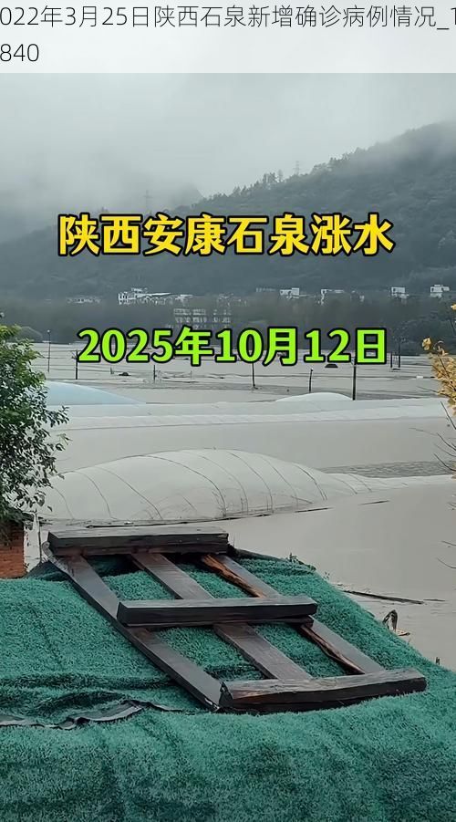2022年3月25日陕西石泉新增确诊病例情况_10840