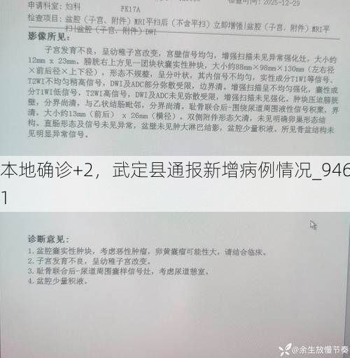 本地确诊+2，武定县通报新增病例情况_9461