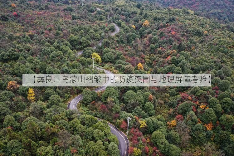 【彝良：乌蒙山褶皱中的防疫突围与地理屏障考验】