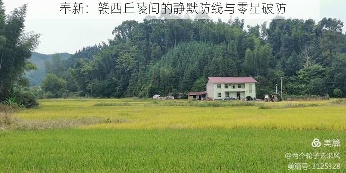 奉新：赣西丘陵间的静默防线与零星破防