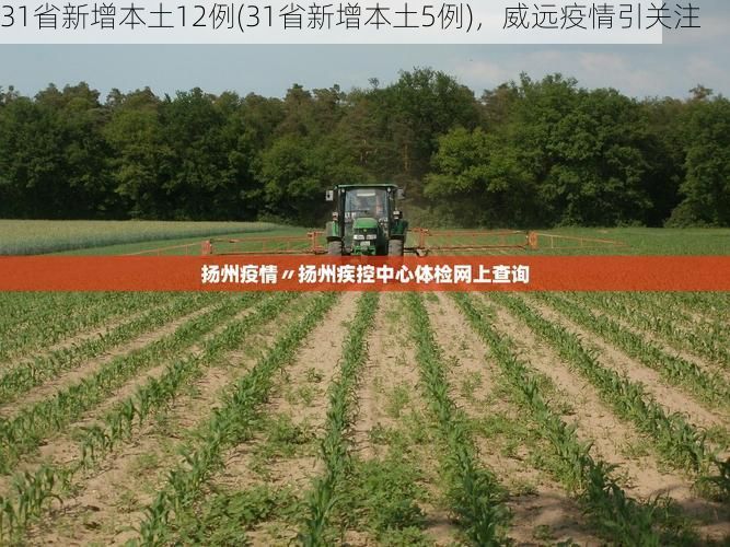 31省新增本土12例(31省新增本土5例)，威远疫情引关注